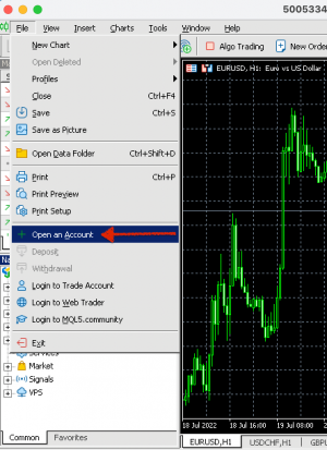 MT5 open an account